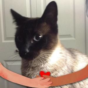 Meet your Posher, Barbara